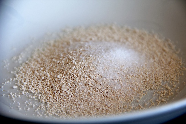 נמדדים במיליונית הסנטימטר - שמרים בגרגרים עם סוכר לארוחת בוקר. צילום: קרן ביטון כהן