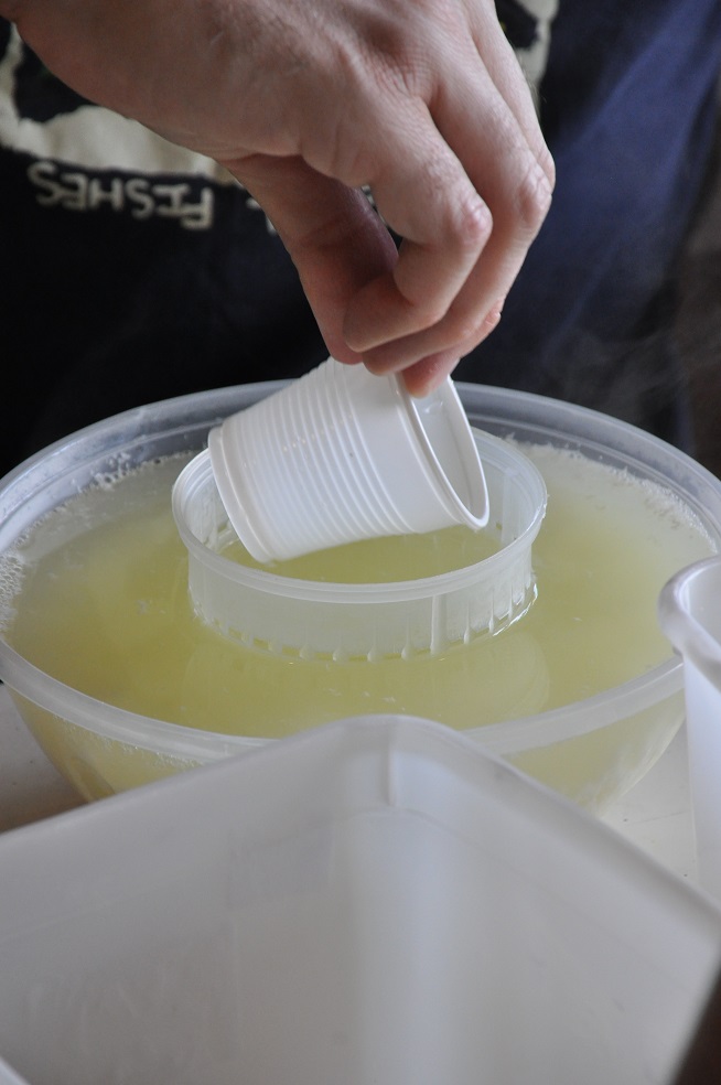 חלבוני החלב נצמדים יחד, כולאים את השומן ודוחפים החוצה את המים, אותם אנחנו מוציאים החוצה (וגם להם שימושים רבים).צילום: חיים רוז